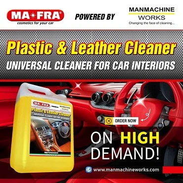 PLASTIC & LEATHER CLEANER